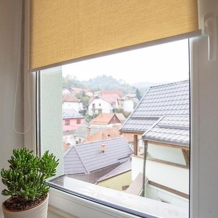 Brasha Residence Брашов Екстер'єр фото