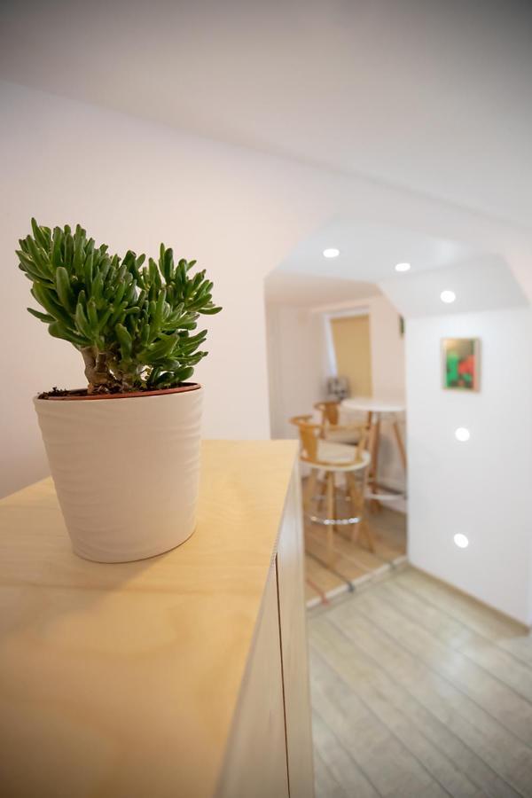 Brasha Residence Брашов Екстер'єр фото